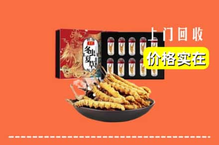 东莞市樟木头镇回收冬虫夏草