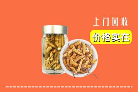收购资讯:东莞市樟木头镇回收散虫草