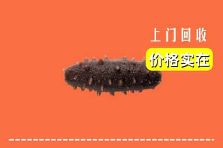 收购资讯:东莞市樟木头镇回收海参