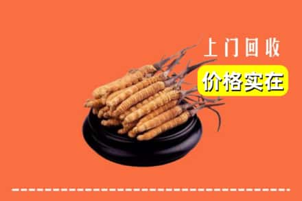 东莞市樟木头镇回收冬虫夏草
